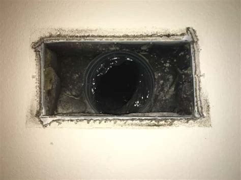 Black mold in vents. Things To Know About Black mold in vents. 